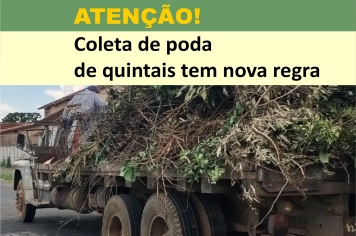 MUNICÍPIO INSTITUI COBRANÇA PELA COLETA E DESTINAÇÃO DE PODAS EM QUINTAIS