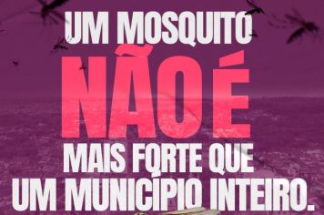 O mosquito não é mais forte do que a união 