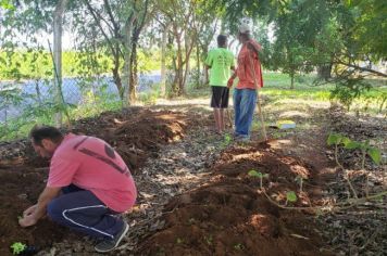 HORTA SOLIDÁRIA UNE CONVIVÊNCIA, CUIDADOS AMBIENTAIS E SAÚDE 