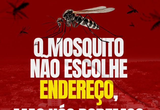 A dengue não tira férias e nós também não