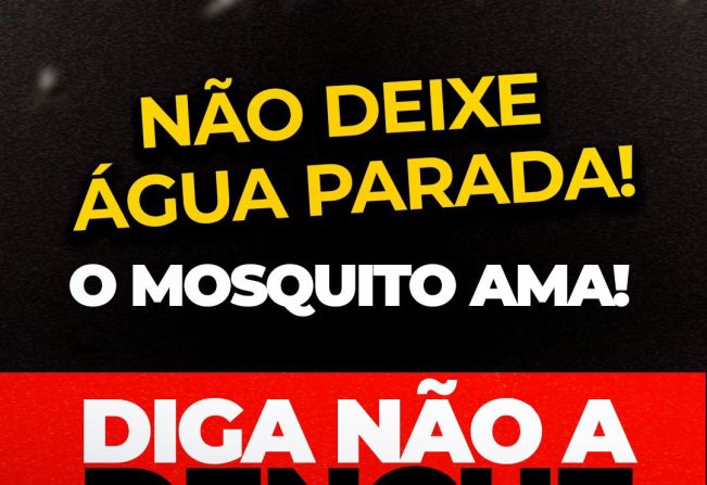 Água parada é o paraíso do mosquito! 