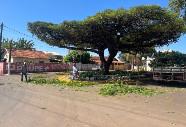 BAIRROS EM ORDEM: PODA DE ÁRVORES NO BAIRRO NAZARÉ 